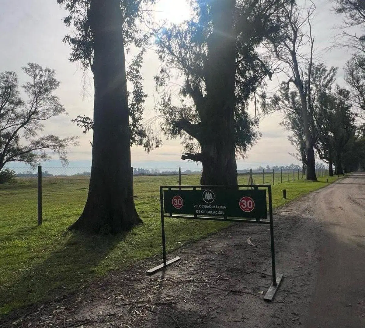 VENTA LOTE BARRIO LA ISABEL TRES PINOS 5