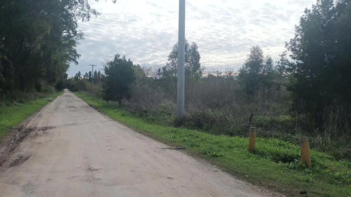 VENTA CAMPO 4.5 HECTAREAS ARANA LA PLATA 3