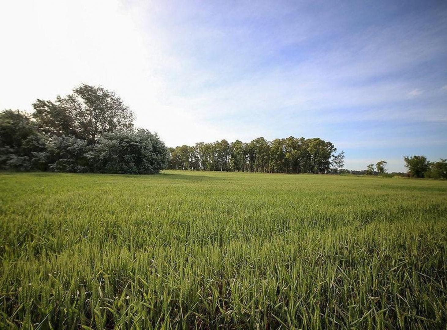 LOTE EN VENTA CHACRAS DE SAN ANDRES, VILLA RUIZ