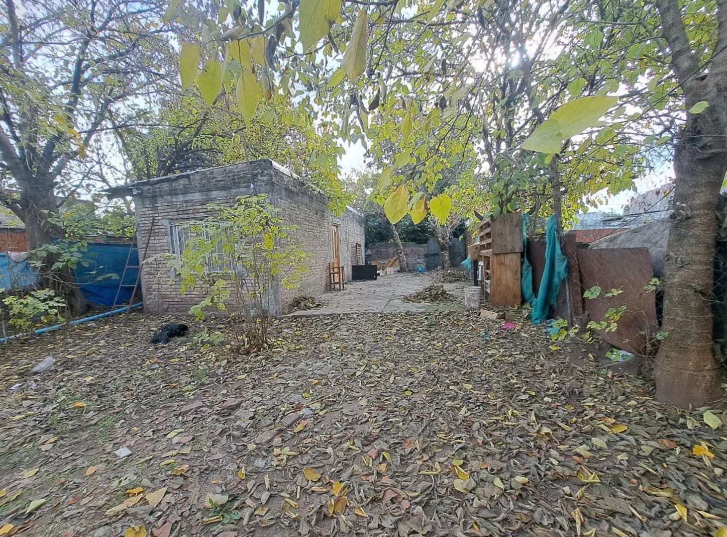 VENTA LOTE CON 2 DEPTOS A REFACCIONAR 5