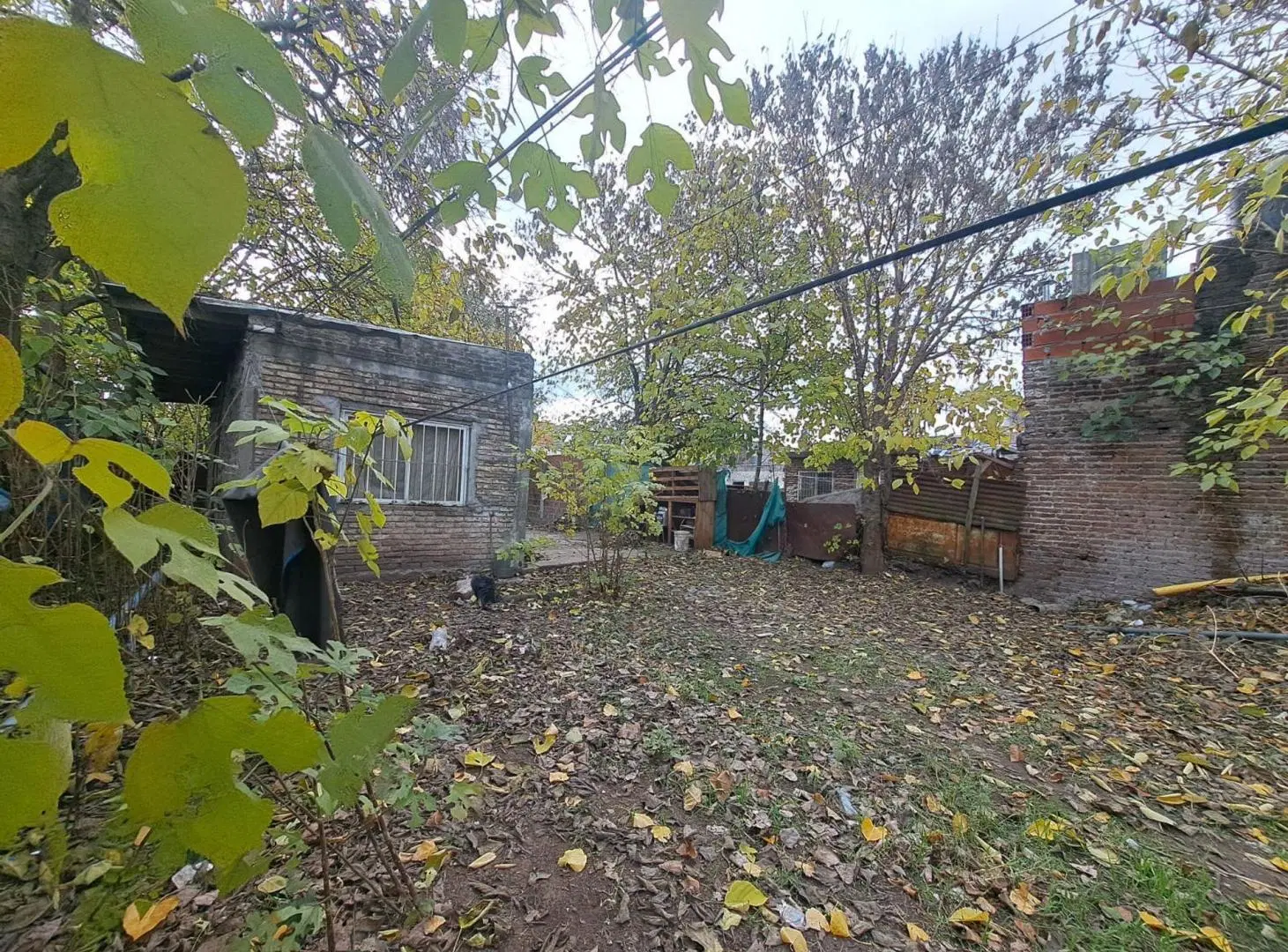 VENTA LOTE CON 2 DEPTOS A REFACCIONAR 5