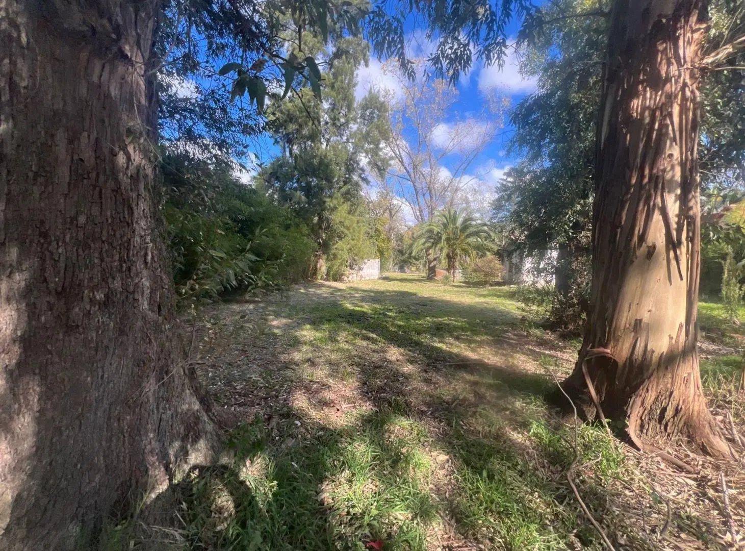 VENTA TERRENO DE VICENZP GRANDE PIÑAR 4