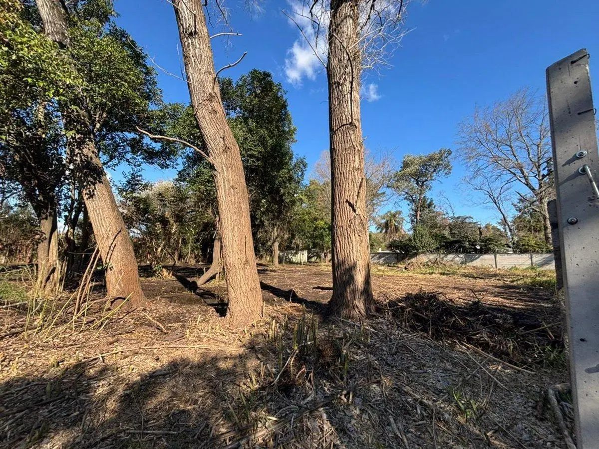 VENTA LOTE 850 M2 - LA REJA MORENO 4