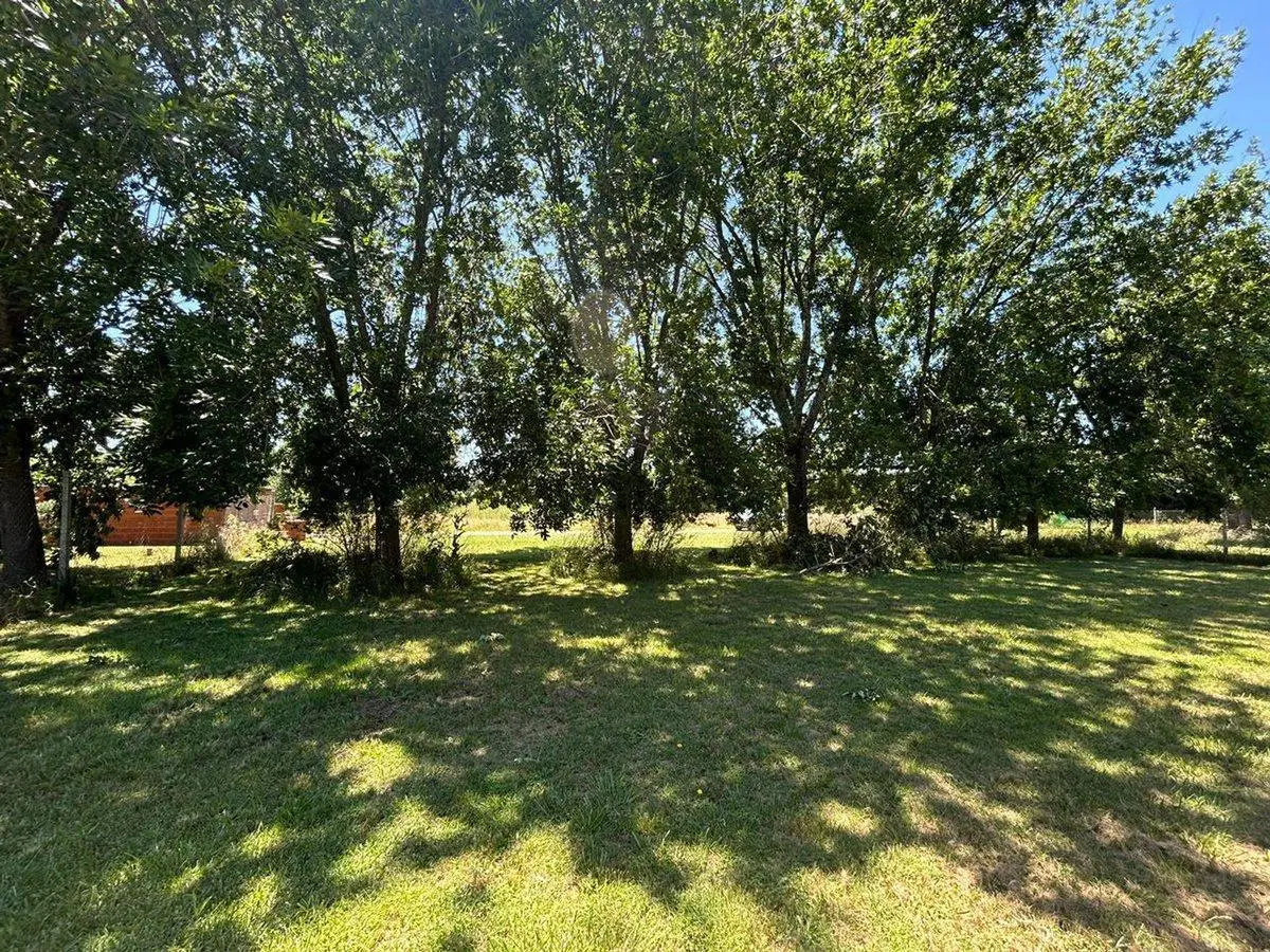 VENTA LOTE  "LAS CASUARINAS DEL CHALET OPEN DOOR" 2