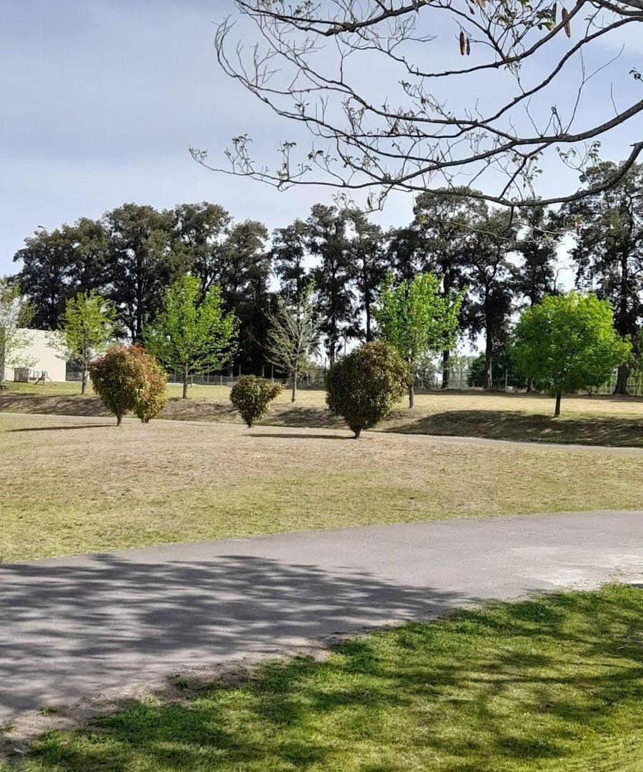 Foto de VENTA LOTE B° "LOS PALENQUES", MANZANARES, PILAR, imagen 5