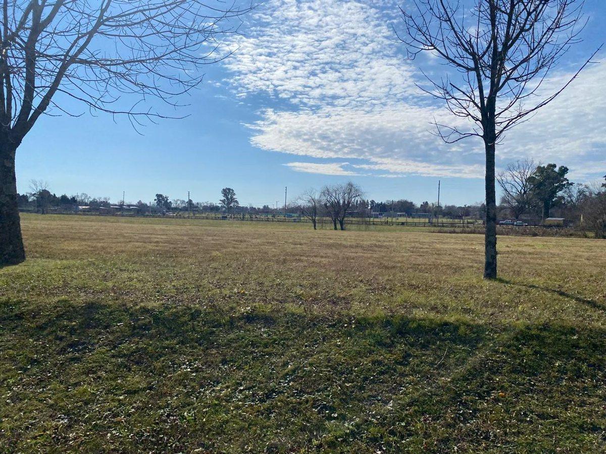 Foto de VENTA LOTE B° "LOS PALENQUES", MANZANARES, PILAR, imagen 3