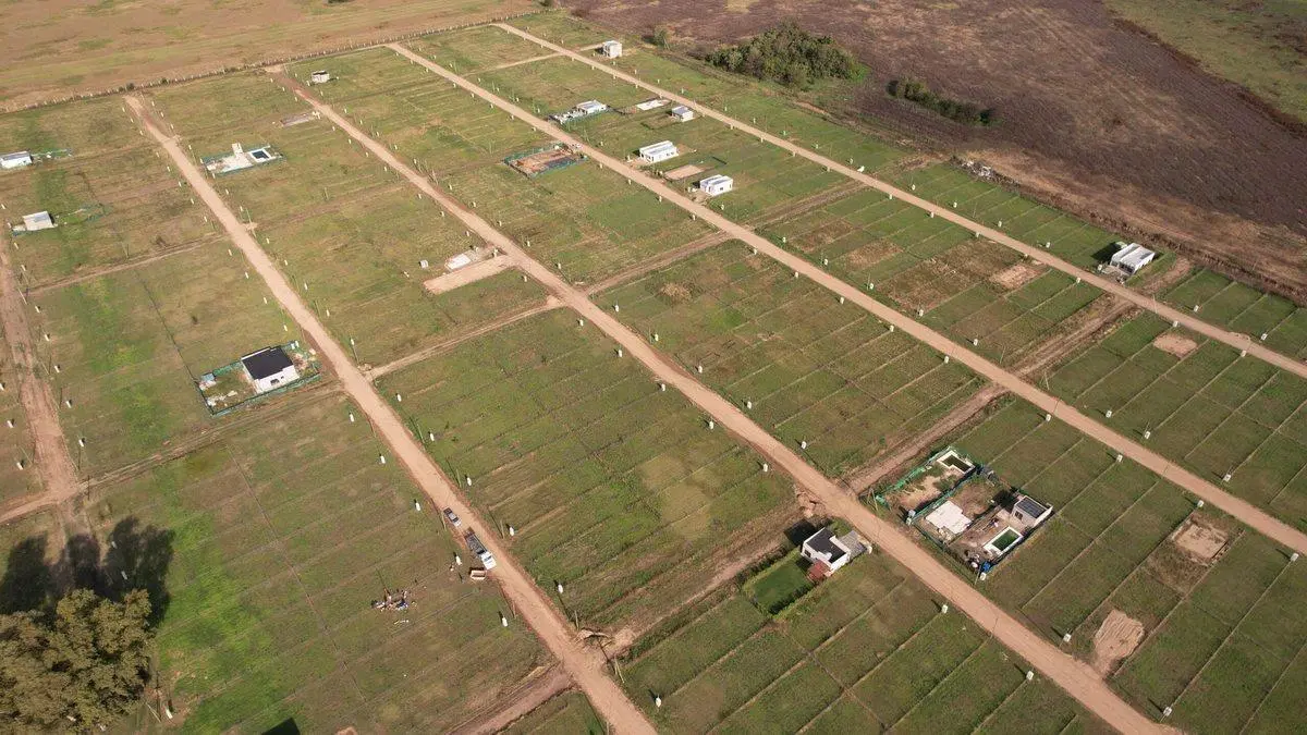 Lote de 300 m² -  La Reserva del Oeste - Etapa 1 4