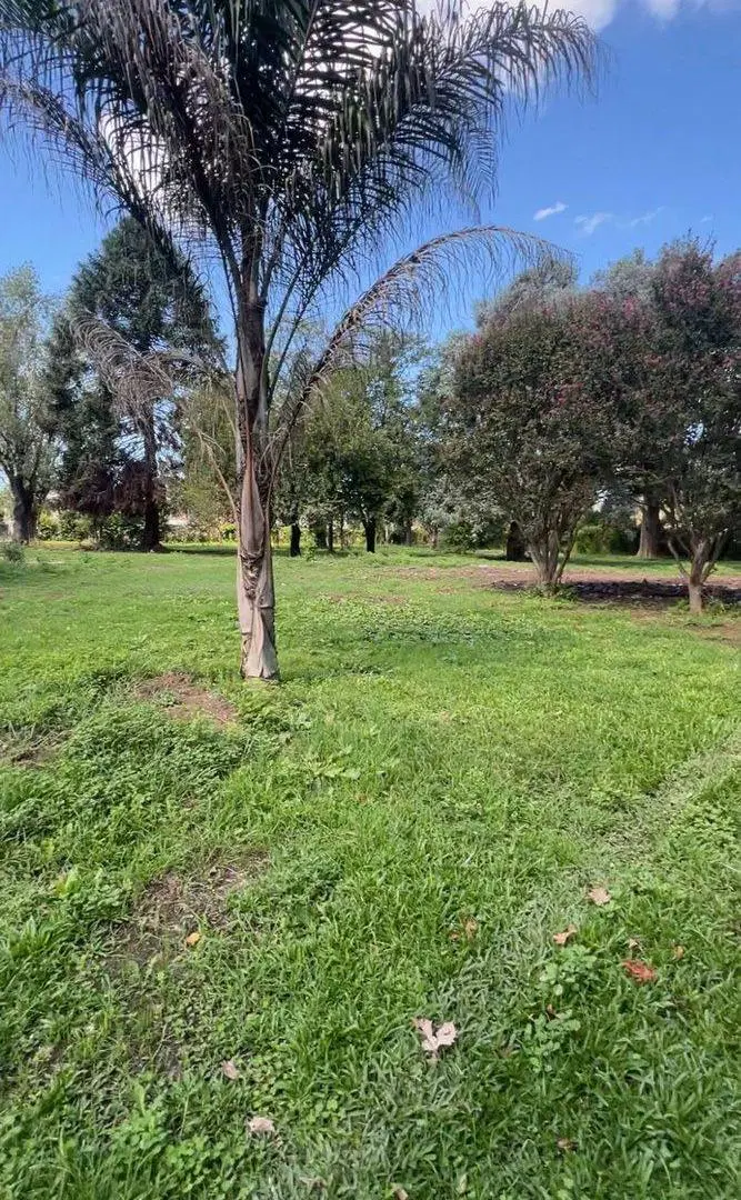 ÚLTIMOS LOTES EN VENTA EN MORENO 300/400/500 m2 4