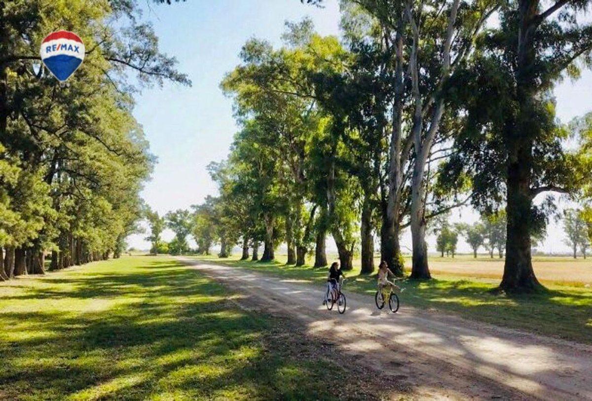 VENTA DE LOTE, VILLA TRES PINOS - BARRIO CASCO