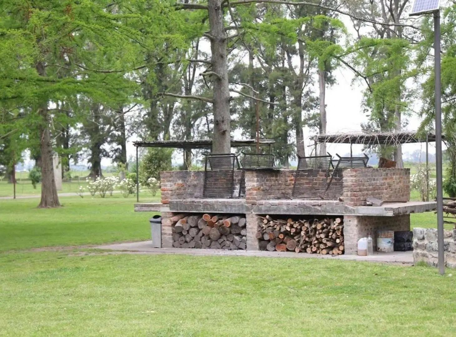 VENTA LOTE TRES PINOS B LA ISABEL GRAL RODRIGUEZ 5