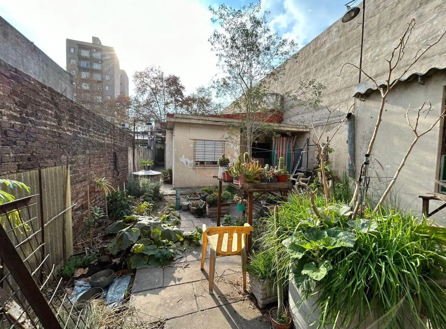 VENTA LOCAL CENTRO SAN MIGUEL ACEP PROP P.DE PAG 4