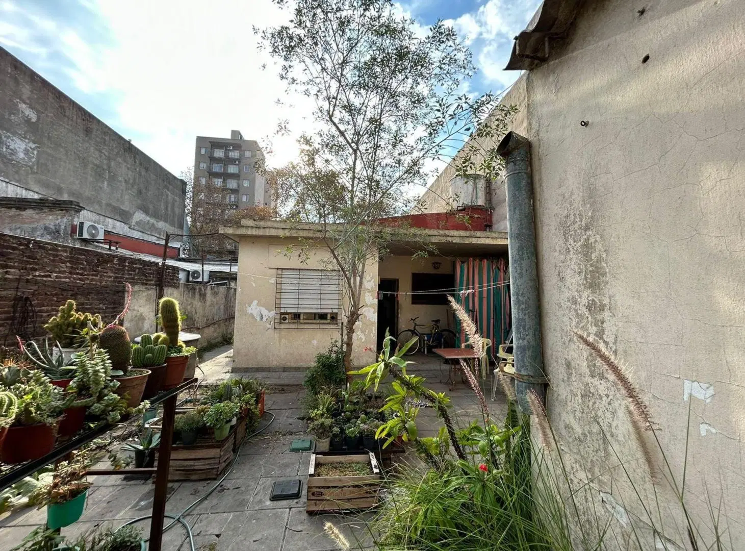 VENTA LOCAL CENTRO SAN MIGUEL ACEP PROP P.DE PAG 2