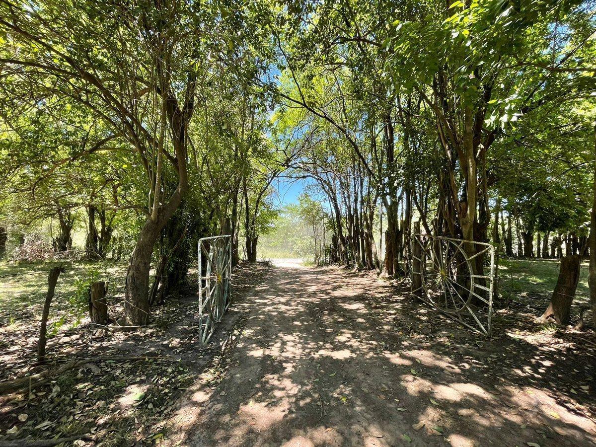 Foto de VENTA LOTES EN MERCEDES 1.000 M2 PERMUTA FINANCIA, imagen 4