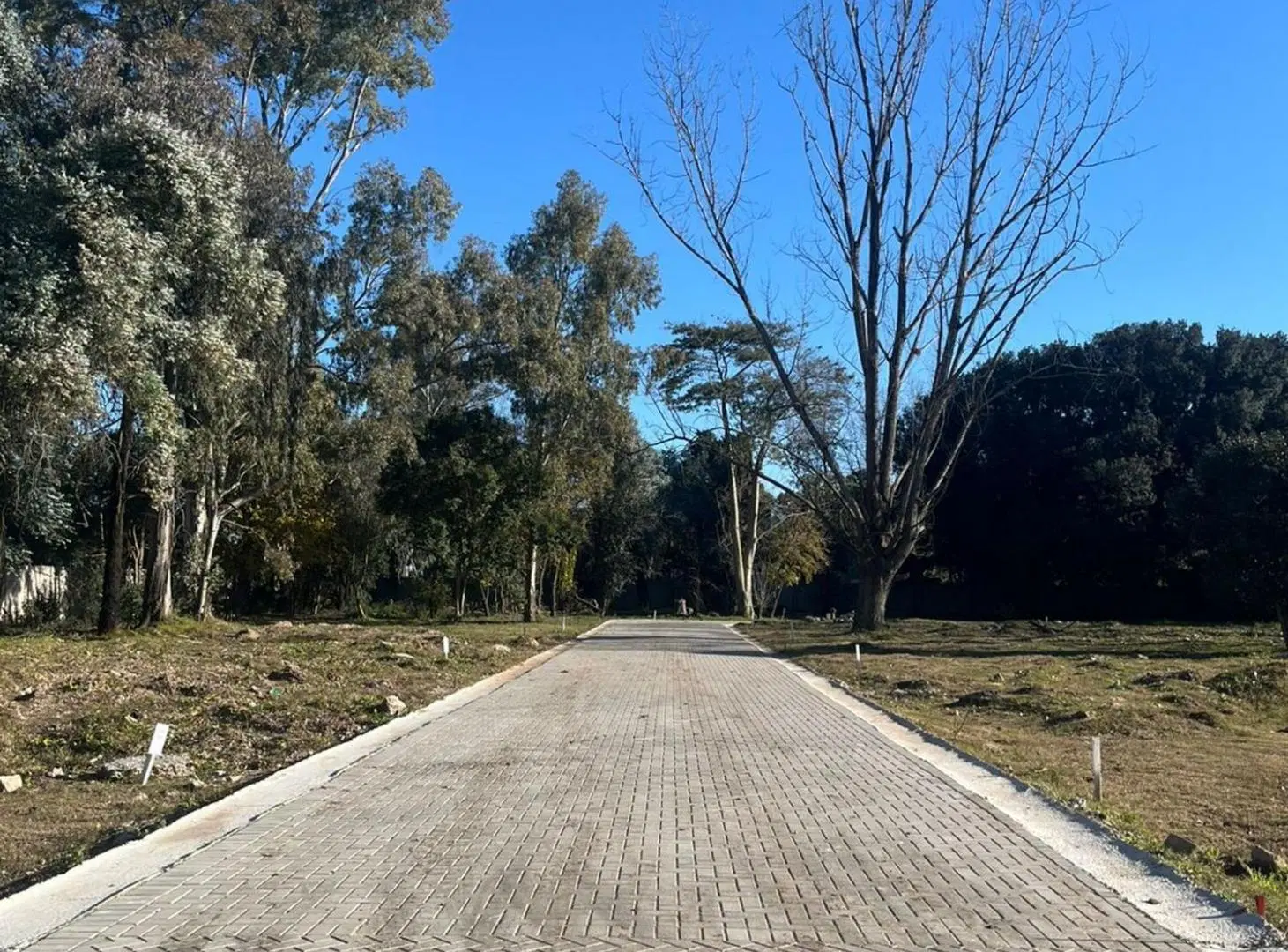 VENTA LOTE B° LOS PINOS III 3
