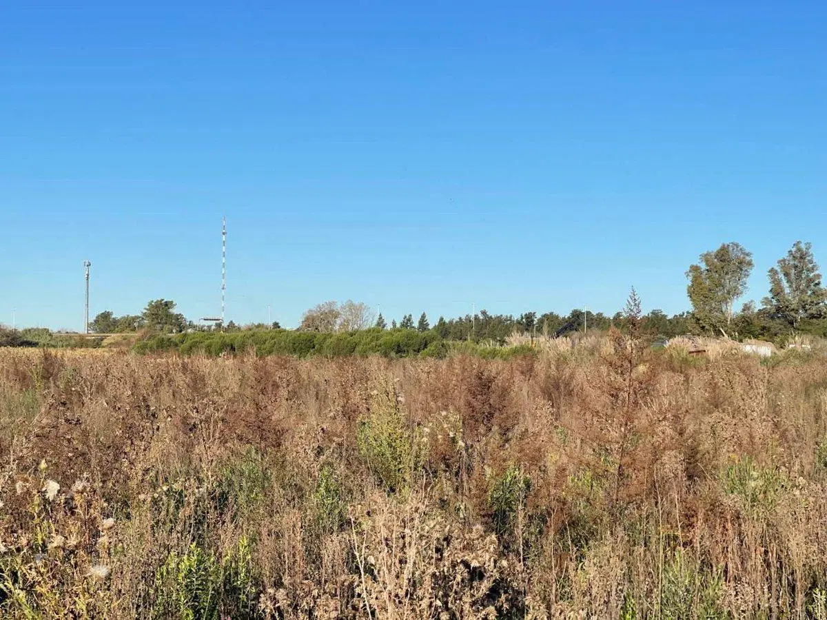 VENTA CAMPO CHACRA 12 HECTAREAS LUJAN 2