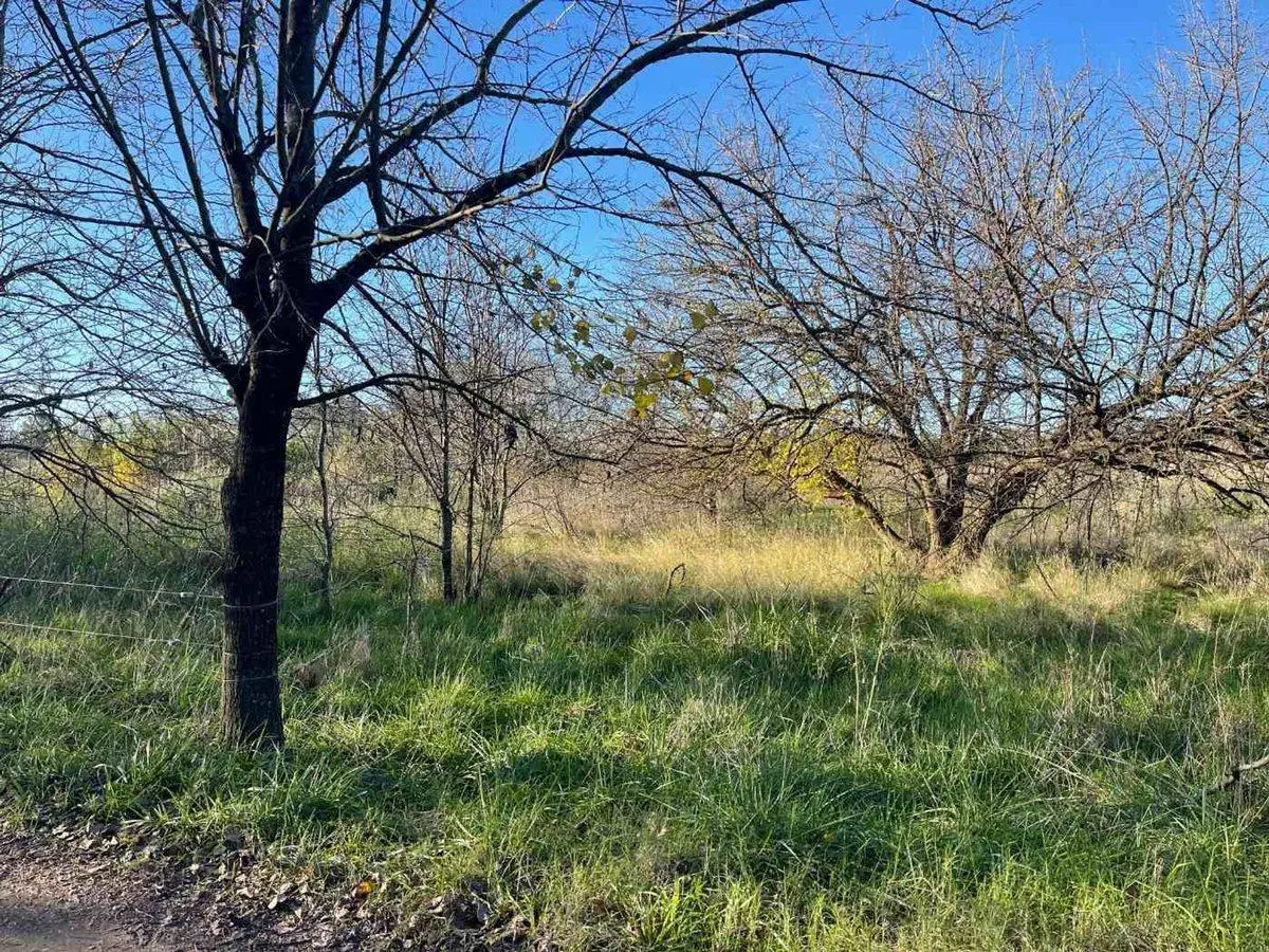 VENTA CAMPO CHACRA 12 HECTAREAS LUJAN 4
