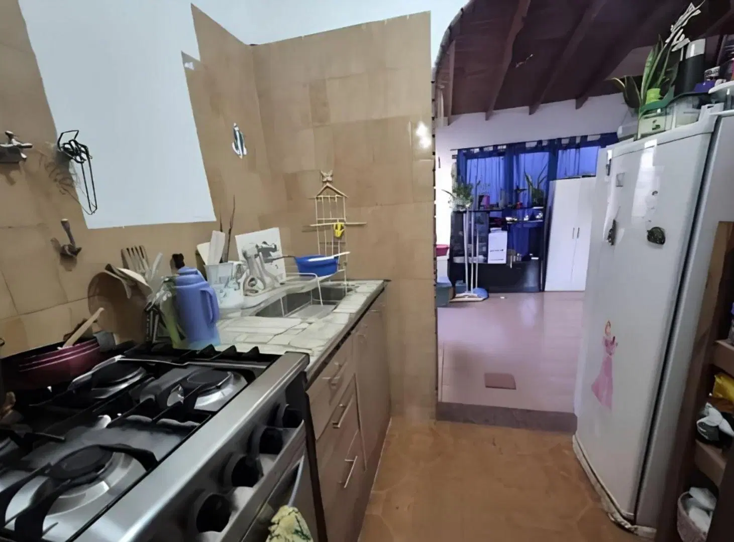 Venta dos casas en un Lote, Martin Coronado. 3