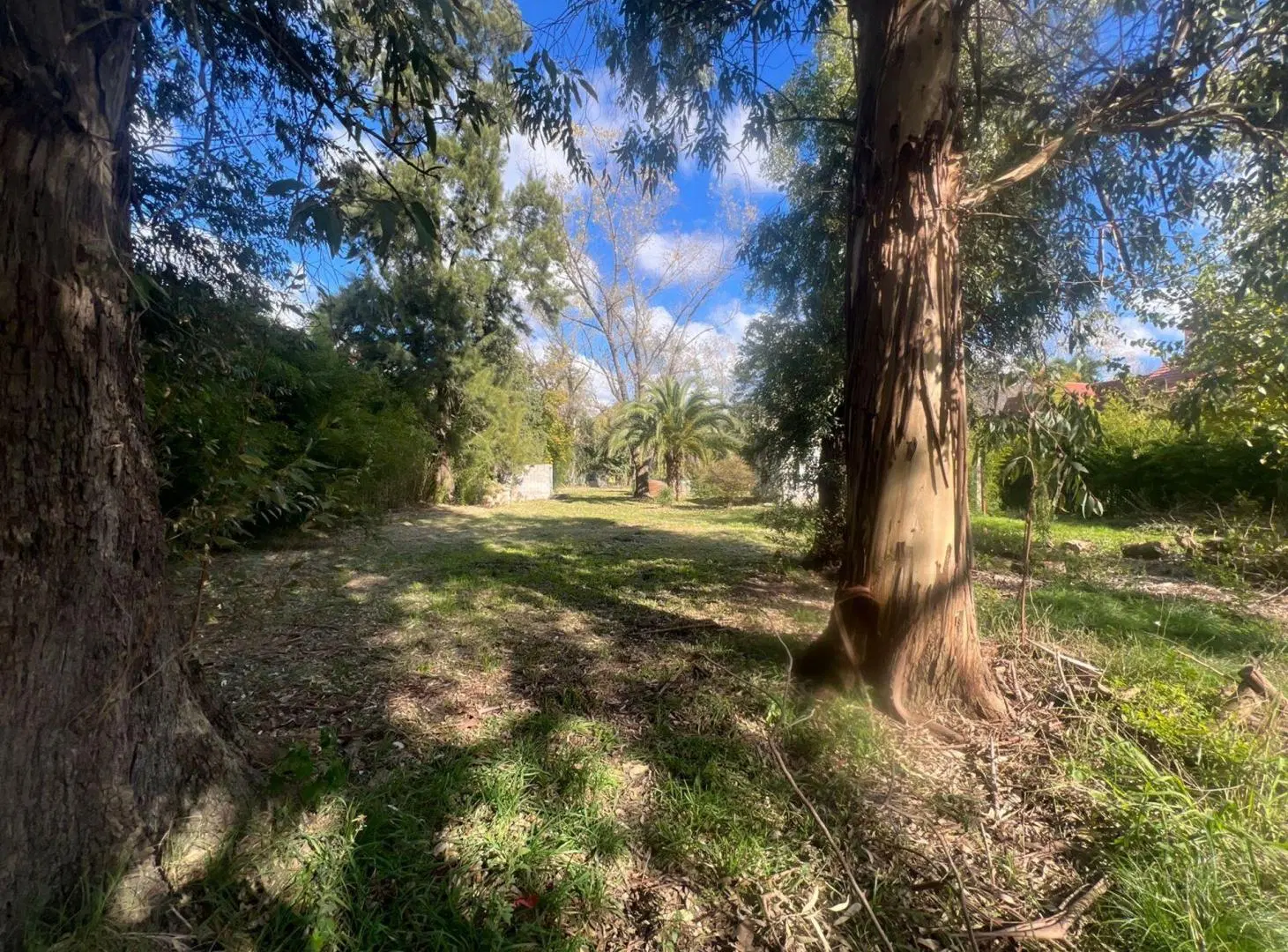 VENTA TERRENO DE VICENZP GRANDE PIÑAR 4