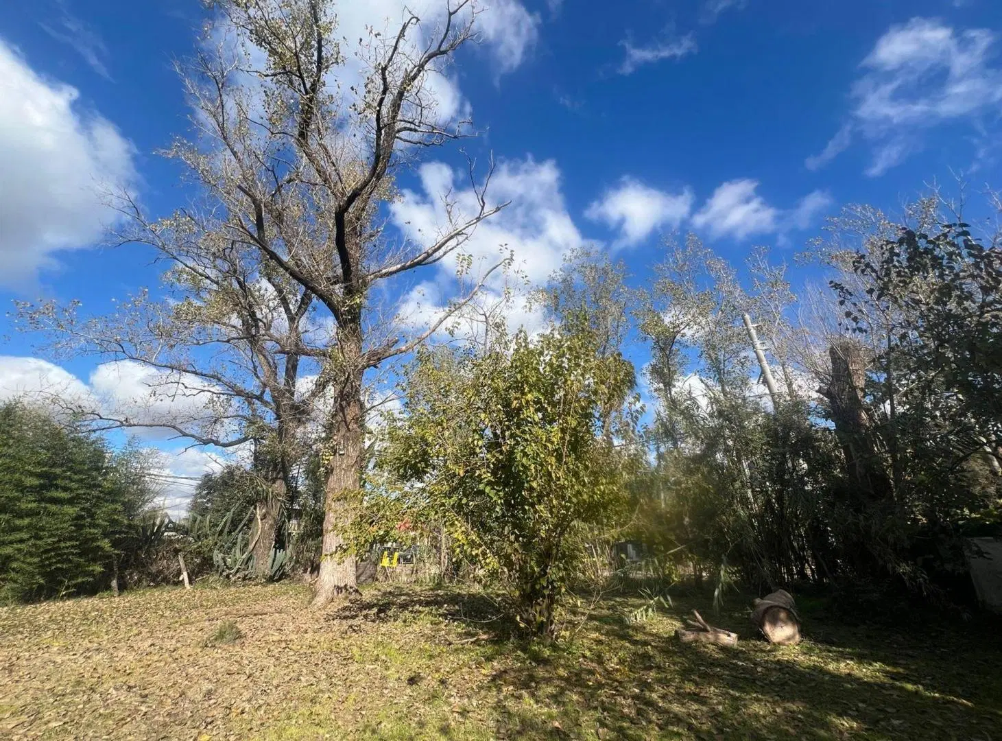 VENTA TERRENO DE VICENZP GRANDE PIÑAR 5