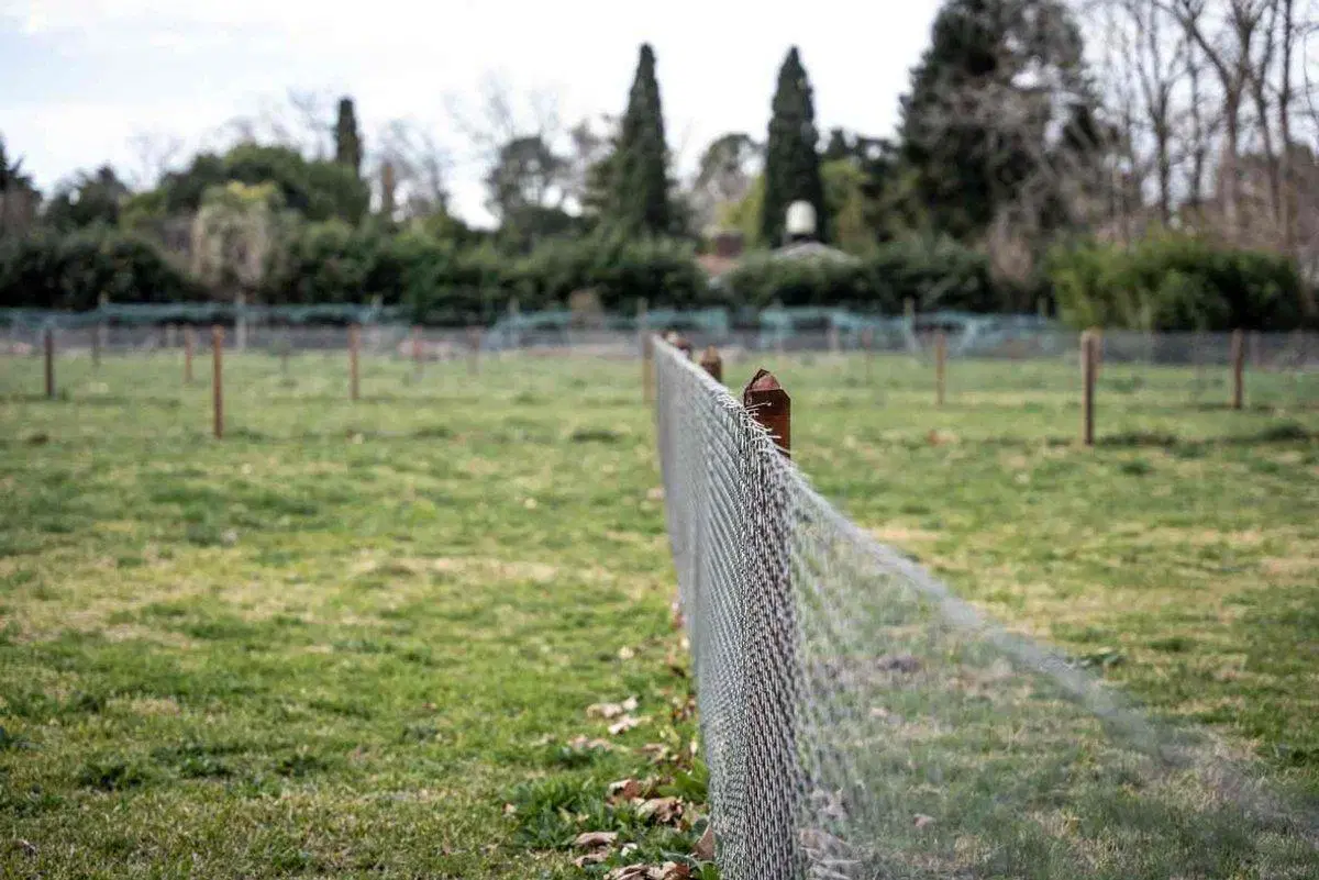 Venta lotes en barrio cerrado Parque Peró Del Viso 7