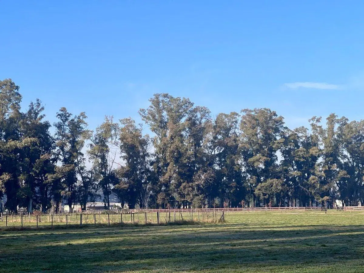 Venta LOTE Carlos Keen Financiado oportunidad!! 5