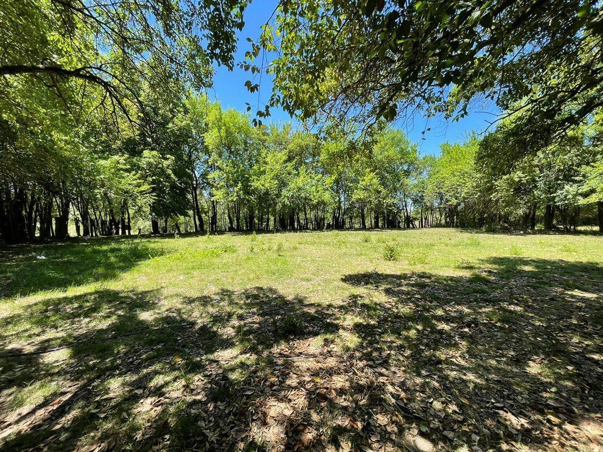Foto de VENTA LOTES EN MERCEDES 1.000 M2 PERMUTA FINANCIA, imagen 1