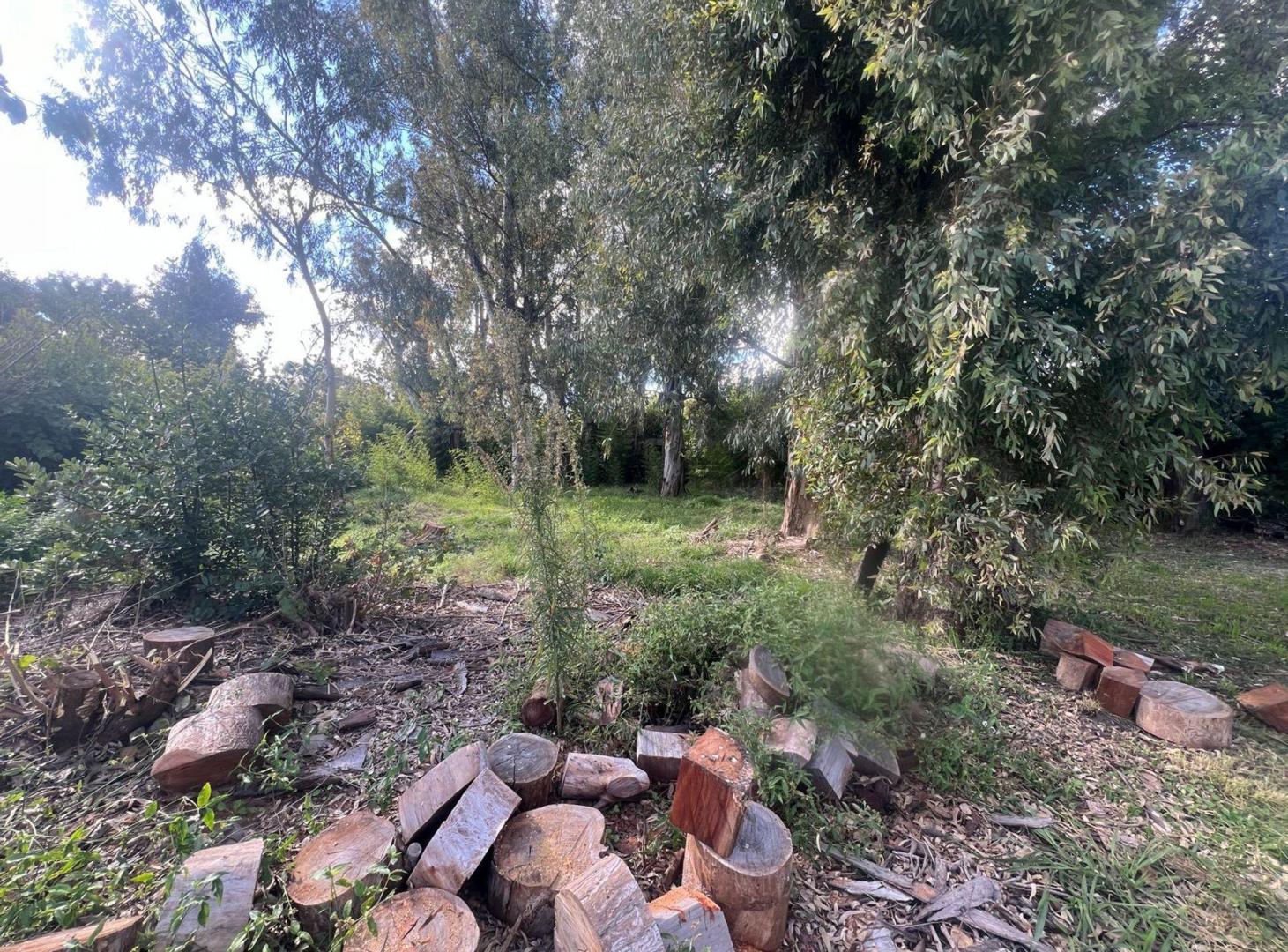 Foto de VENTA TERRENO DE VICENZO GRANDE PIÑAR, imagen 5