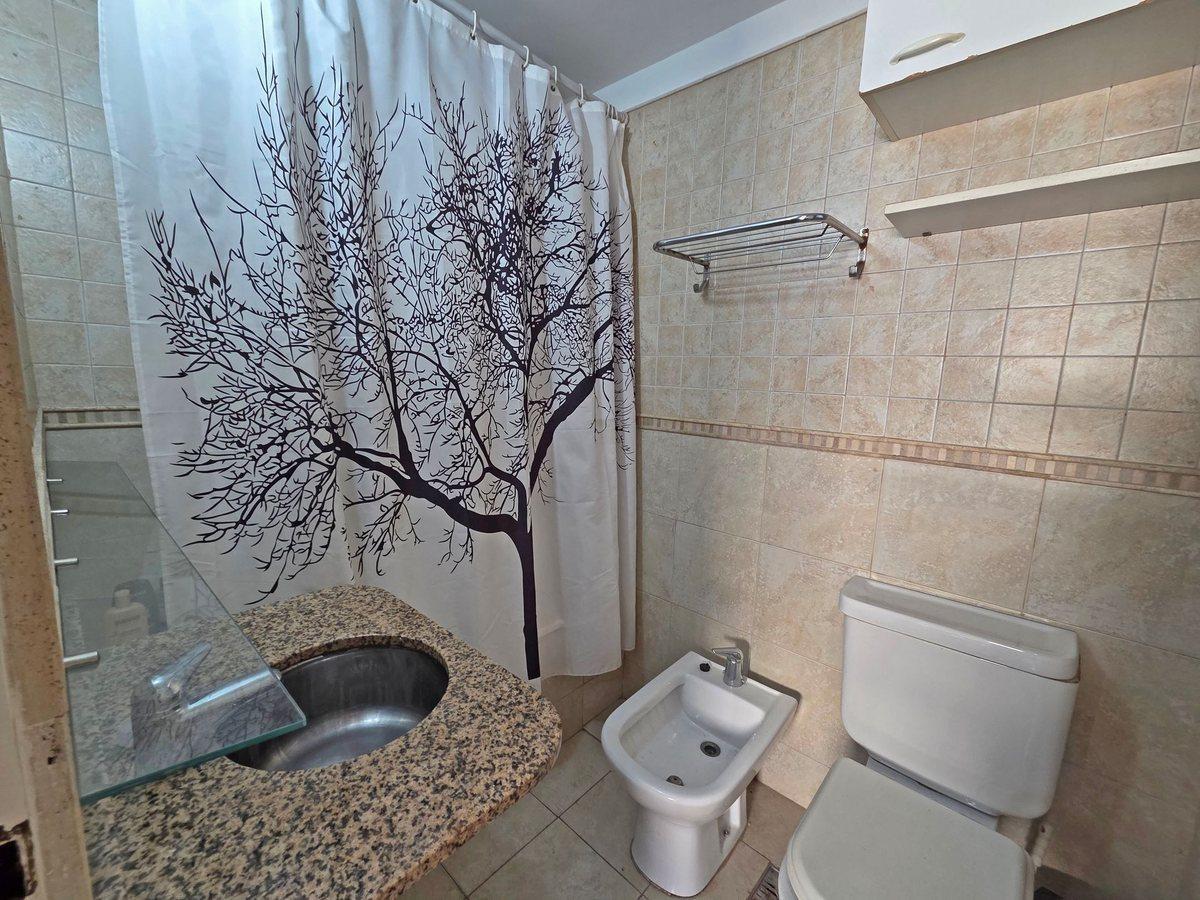 Foto de VENTA MONOAMBIENTE TERRAZA APTO CREDITO PALERMO, imagen 5
