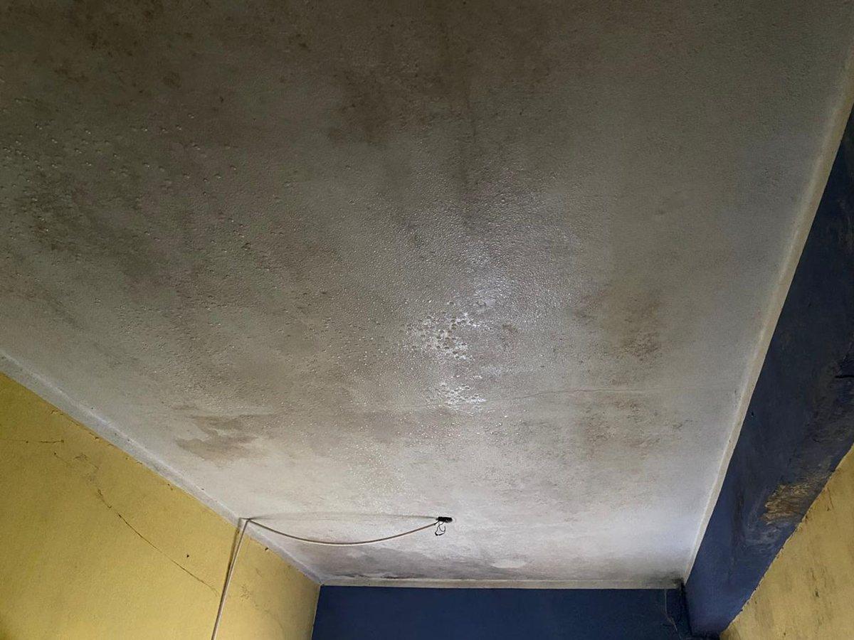 Foto de VENTA CASA 5 AMBIENTES + DPTO A REFACCIONAR JCP, imagen 4