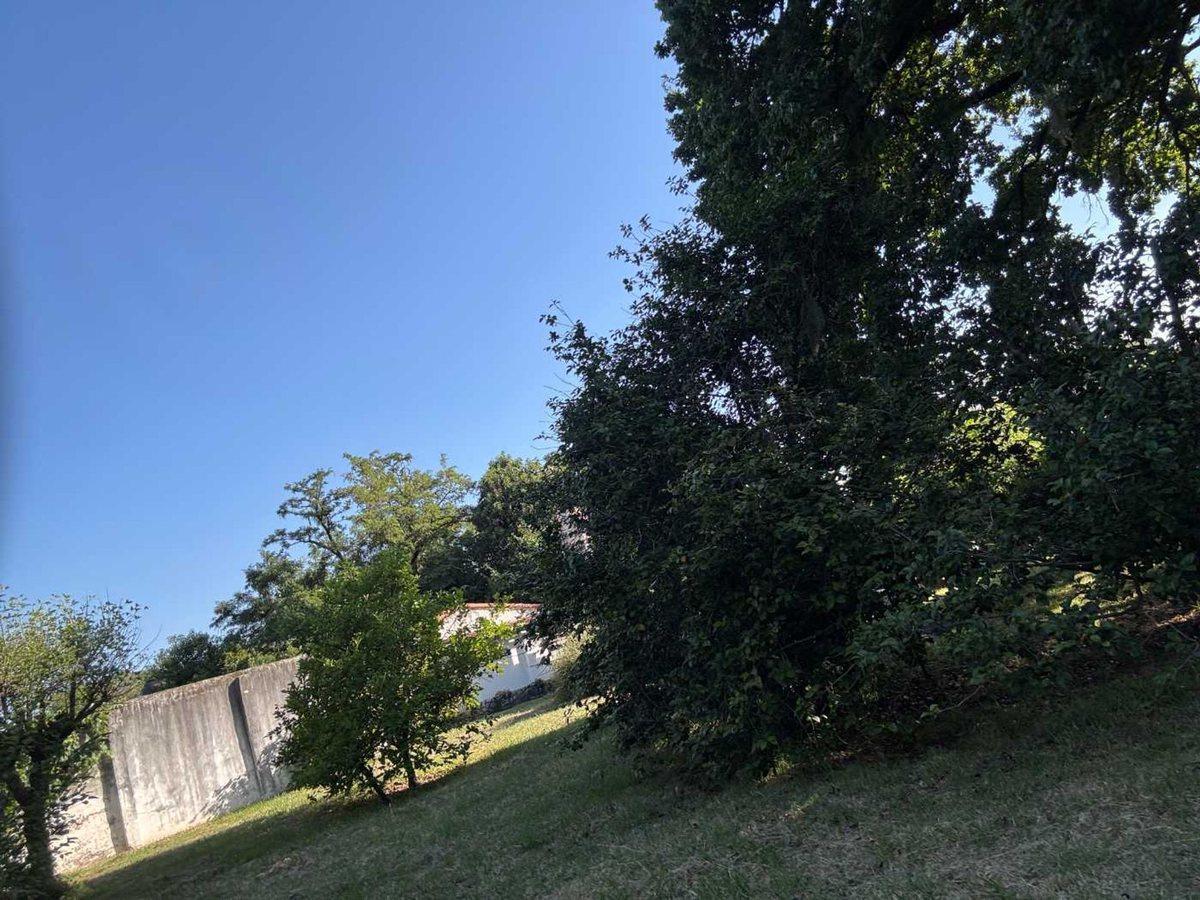 Foto de VENTA LOTE 286 M² EN TORTUGUITAS – A MTS DE RUTA 8, imagen 3