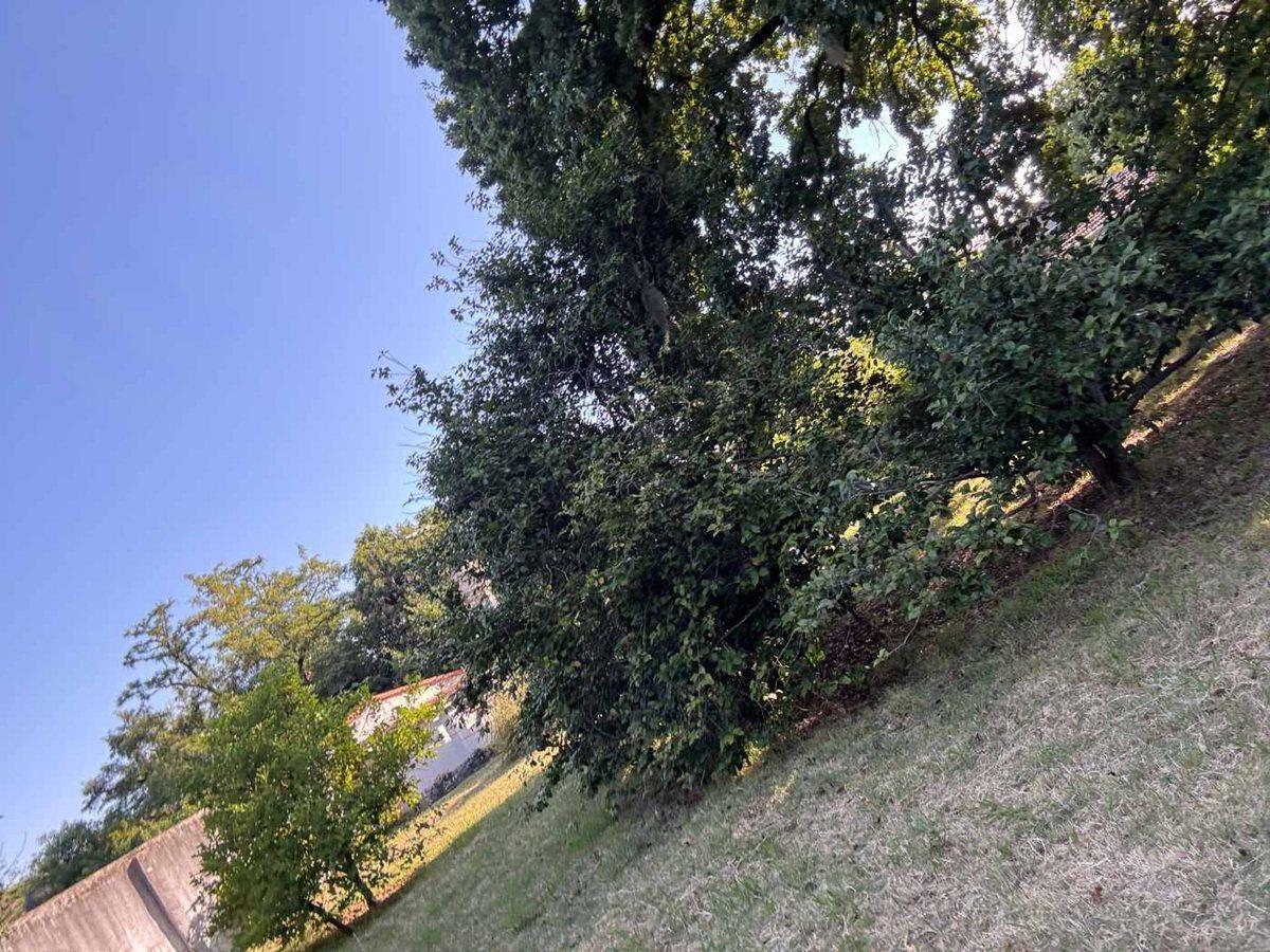 Foto de VENTA LOTE 286 M² EN TORTUGUITAS – A MTS DE RUTA 8, imagen 2