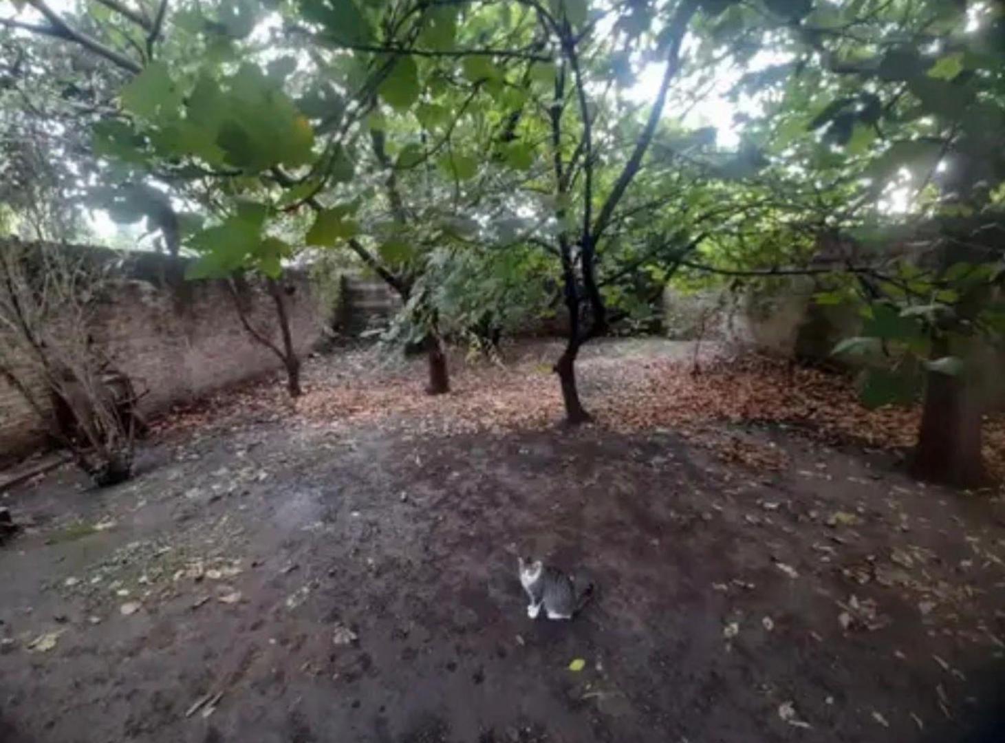 Foto de VENTA CASA 3 AMB C/ DEPTOS SAN MIGUEL, imagen 5