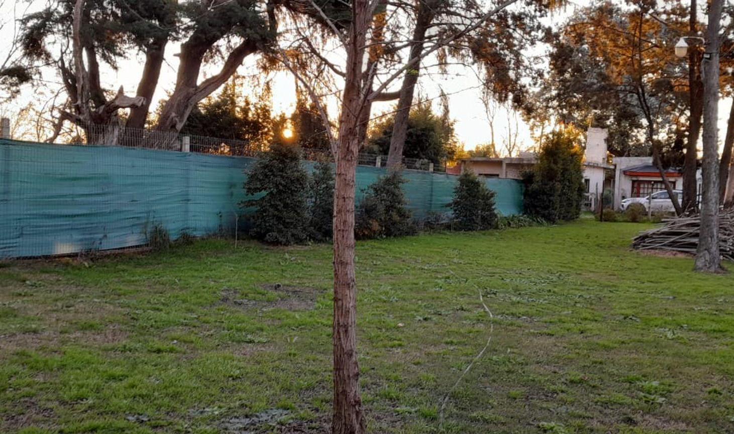 Foto de VENTA TERRRENO JOSÉ C PAZ, imagen 2
