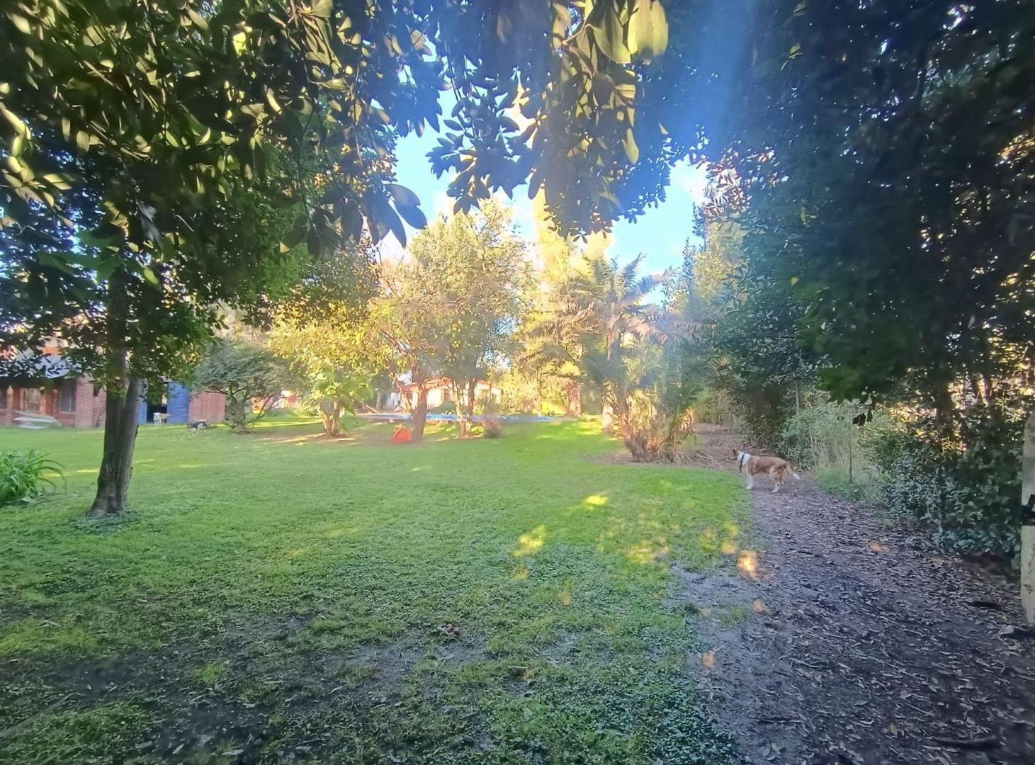 Foto de VENTA GRAN LOTE Y CASA 3 AMB A REFACCIONAR LA REJA, imagen 3