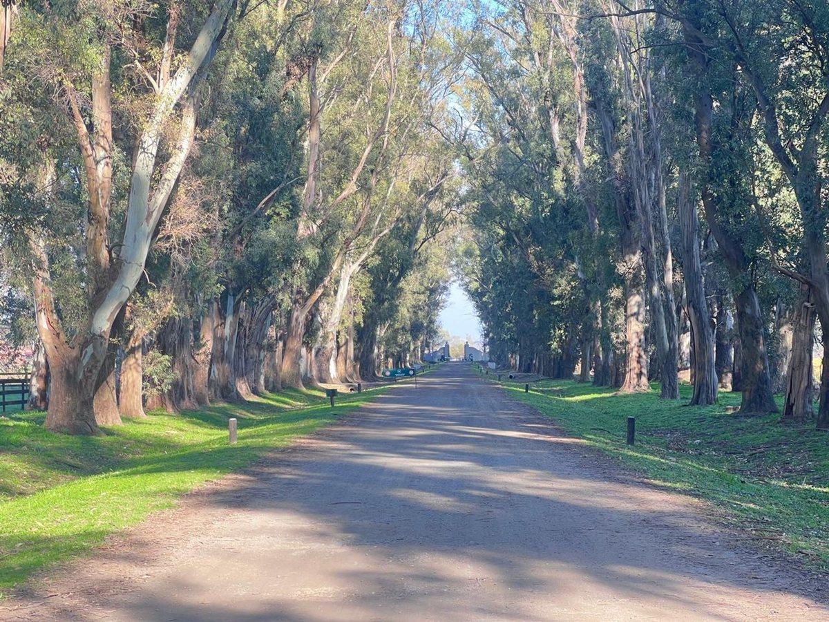 Foto de Venta LOTE Chacras san Andres!! OPORTUNIDAD, imagen 3