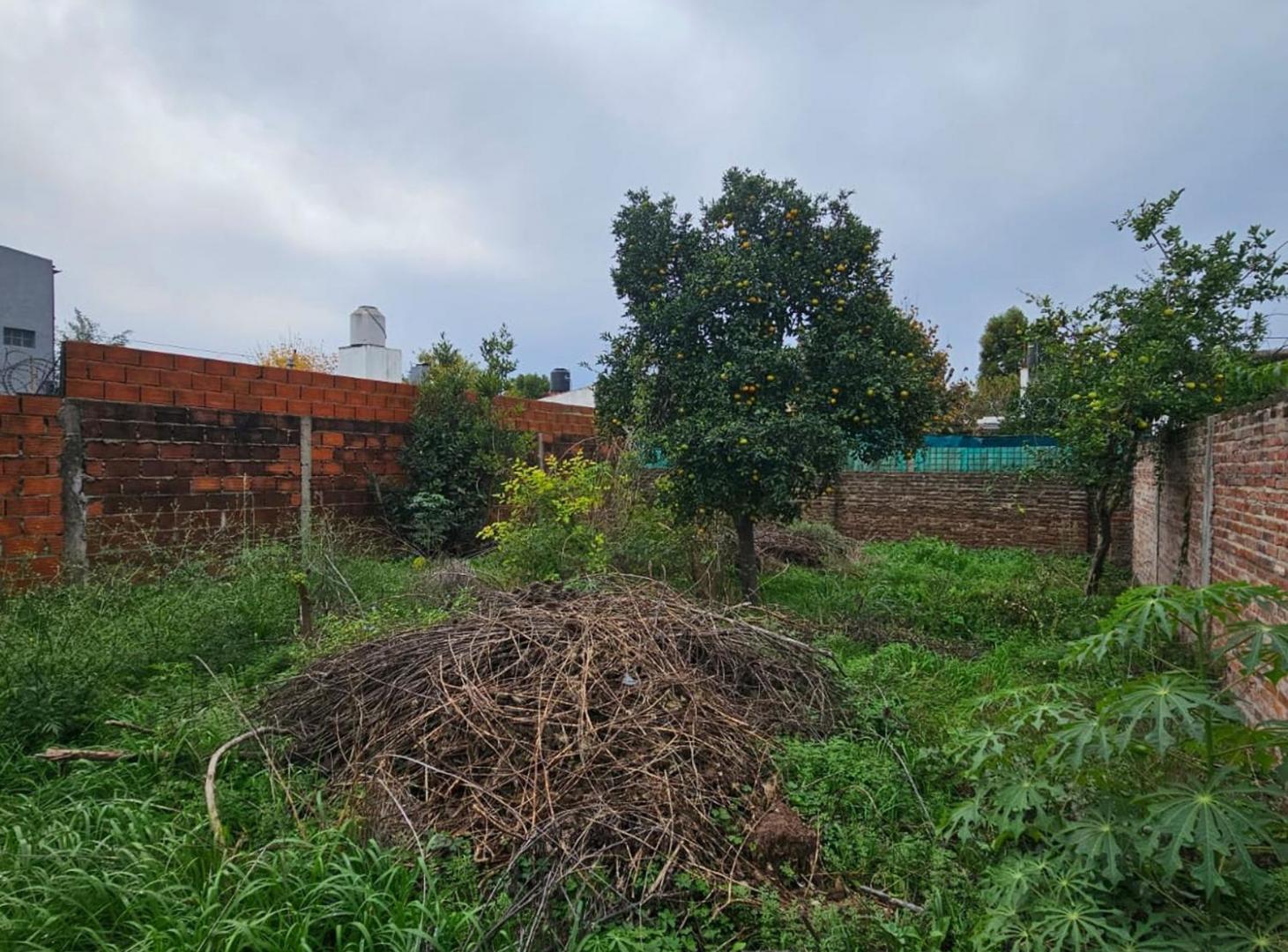 Foto de VENTA LOTE DE 300m2 EN GENERAL RODRIGUEZ, imagen 1