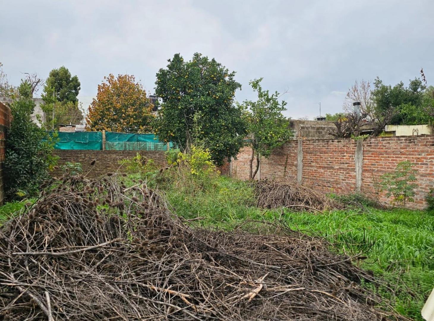 Foto de VENTA LOTE DE 300m2 EN GENERAL RODRIGUEZ, imagen 3