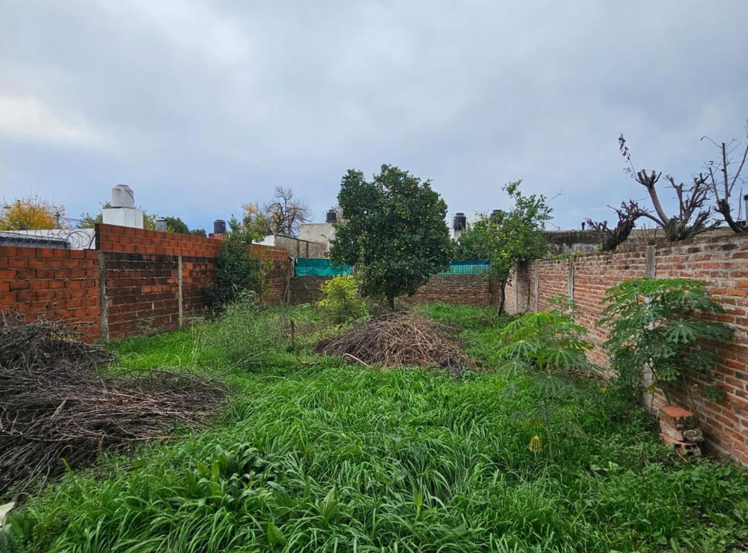 Foto de VENTA LOTE DE 300m2 EN GENERAL RODRIGUEZ, imagen 4