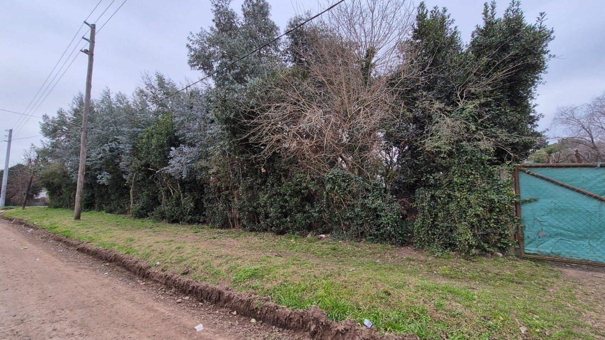 Foto de Veta Lote en Garín - Ideal Inversor, imagen 4