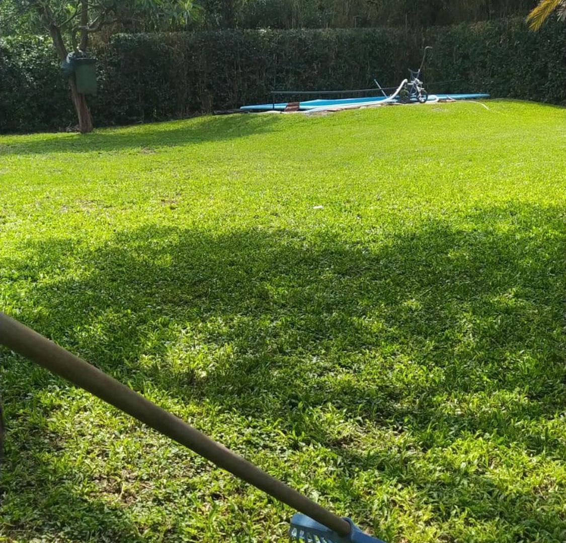 Foto de VENTA QUINTA FRANCISCO ALVAREZ, imagen 2