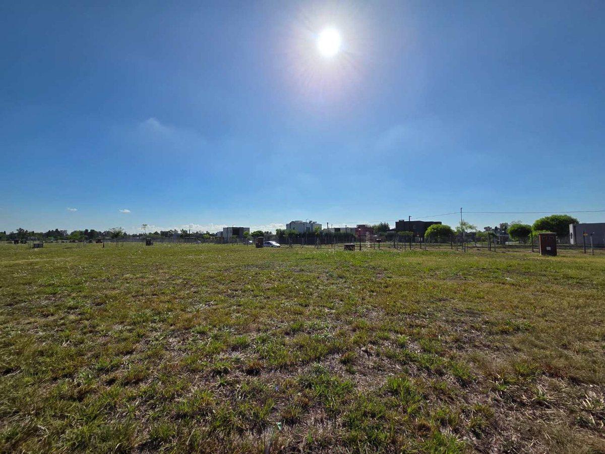 Foto de LOTE VENTA 524 METROS SANTA SOFIA PILAR DEL ESTE, imagen 2