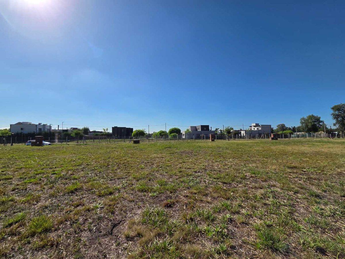 Foto de LOTE VENTA 524 METROS SANTA SOFIA PILAR DEL ESTE, imagen 3