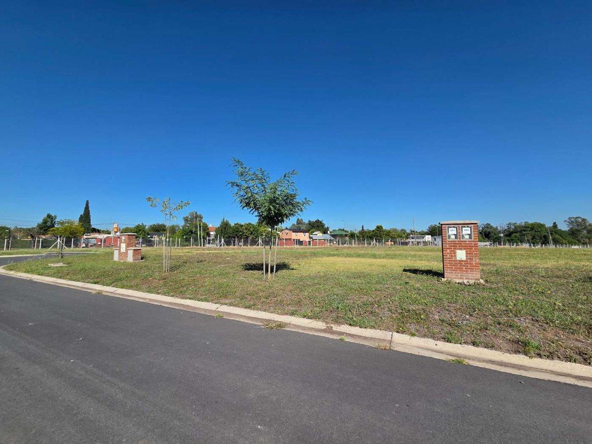 Foto de LOTE VENTA 524 METROS SANTA SOFIA PILAR DEL ESTE, imagen 5