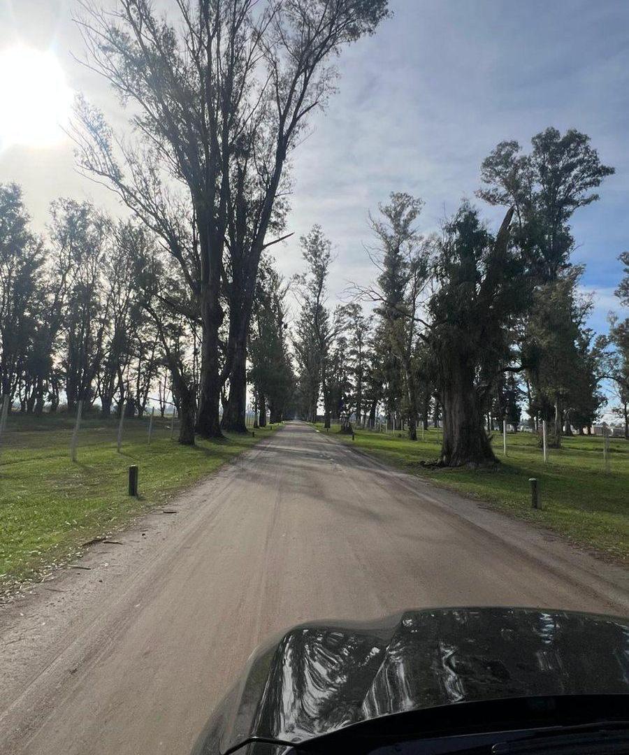 Foto de VENTA TERRENO GRAL RODRIGUEZ BARRIO CERRADO 3 PINO, imagen 5