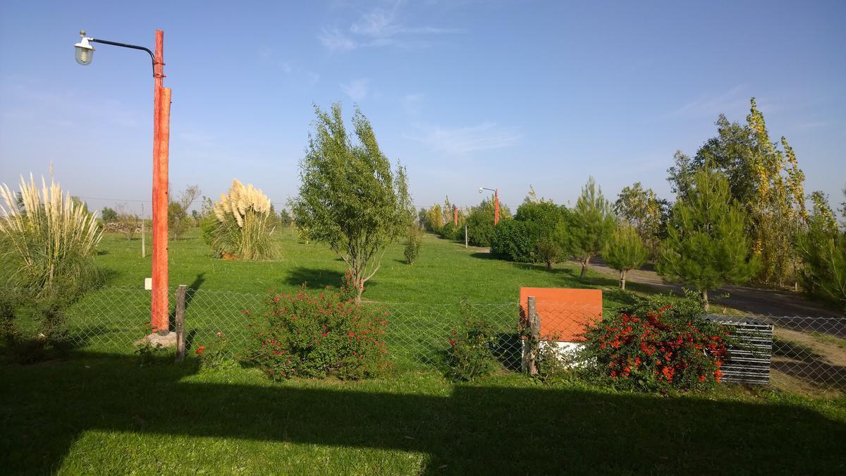 Sensacional Chacra en Viedma, Sobre 10.000 m² de Terreno. 2