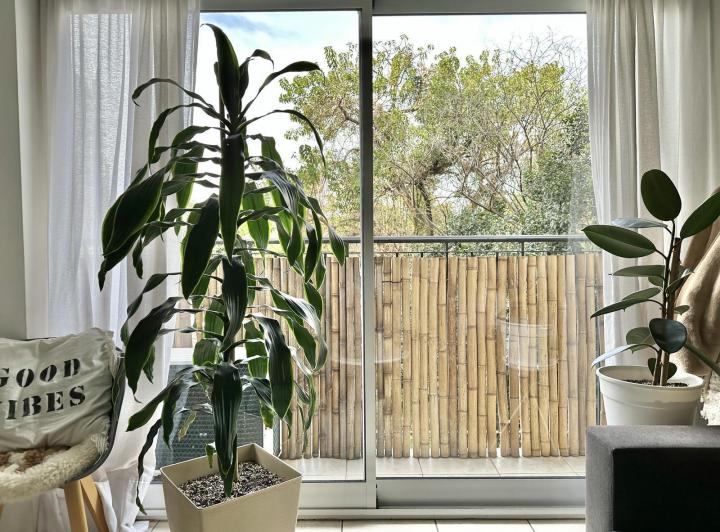 Oportunidad! Moderno departamento de dos ambientes en venta y alquiler con cochera en Beccar. 2