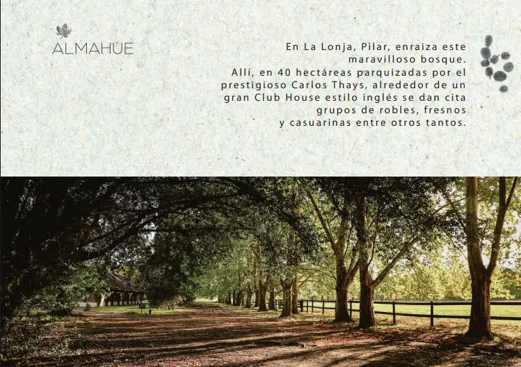 Expectacular lote a la venta en el B° Almahue, Pilar. 4