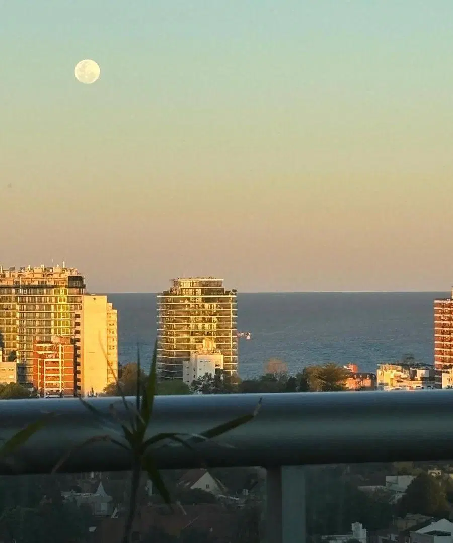 Fantástico departamento en alquiler con vista al Río y cochera en Vicente López, con o sin muebles. 5
