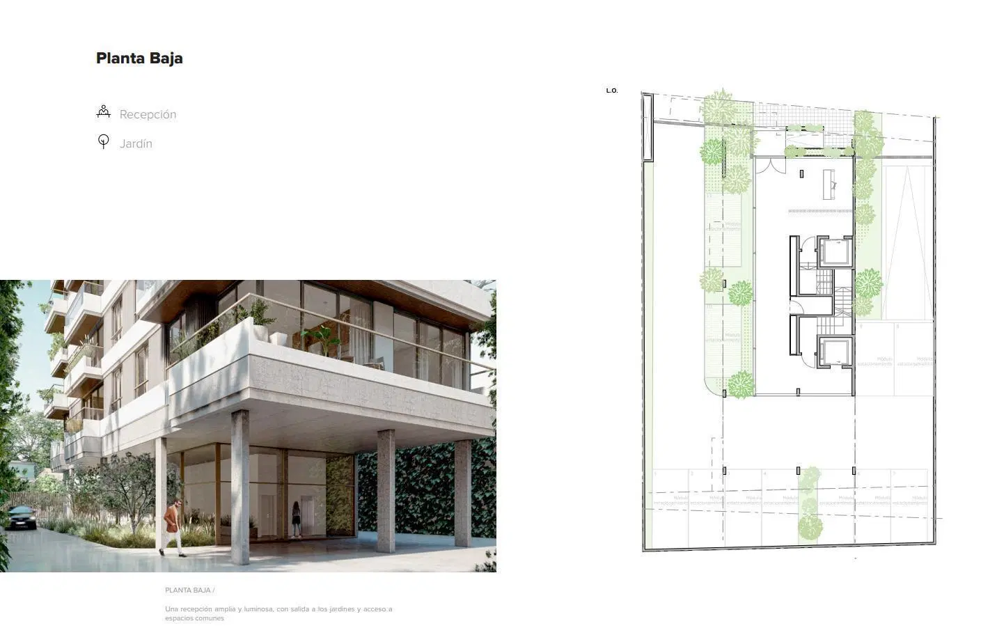 Plano 3
