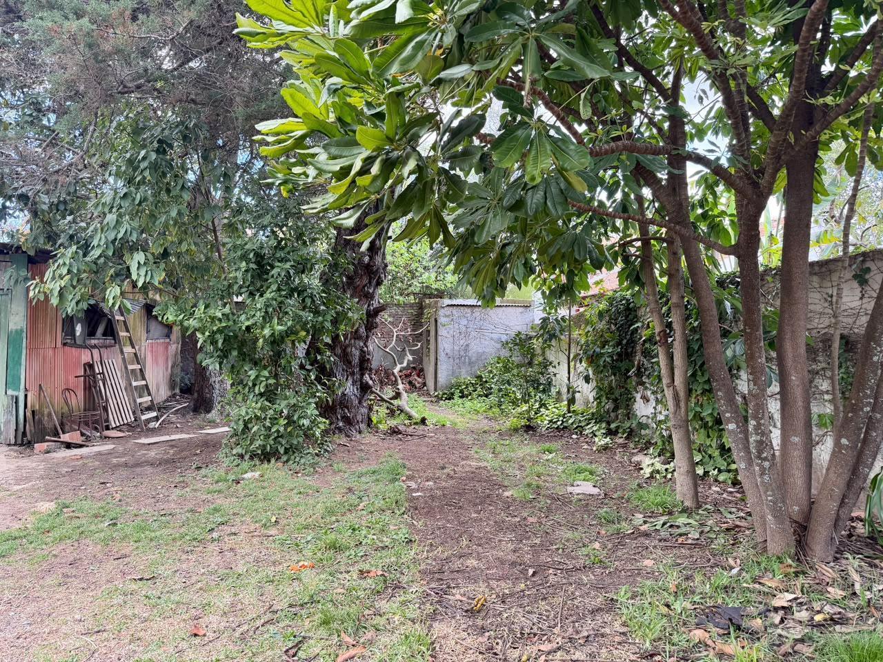 Foto de Terreno propio en pulmón de manzana con proyecto aprobado en venta, San, imagen 4